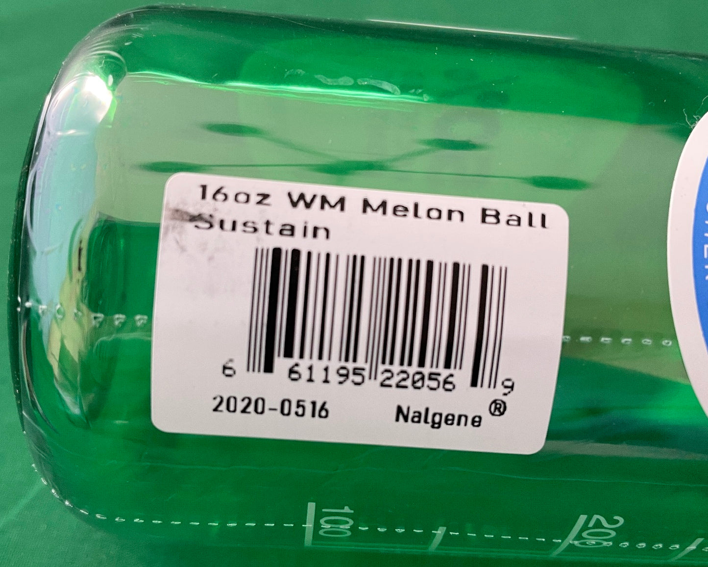 Nalgene Wide Mouth 16 oz Sustain Bottle Melon Ball 2020-0516