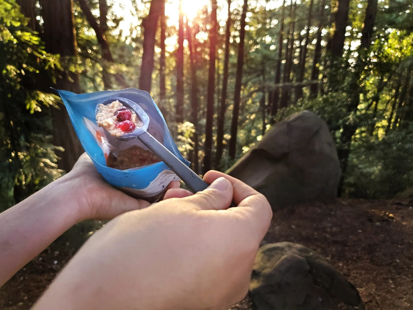 Bushka's Kitchen Cranberry Rice Pudding w/Coconut 2-Serving Freeze Dried Pouch