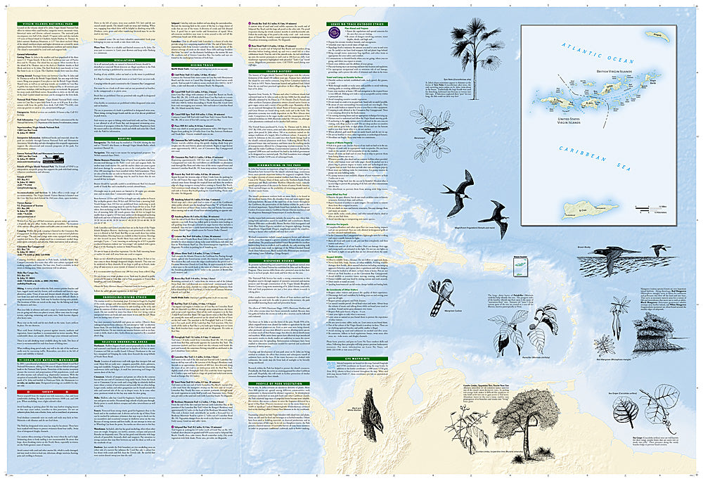 National Geographic St John USVI Virgin Islands Trails Illustrated Map 236