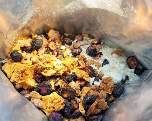 Bushka's Kitchen Yogurt Bowl w/Blueberries & Granola 1-Serve Freeze Dried Pouch