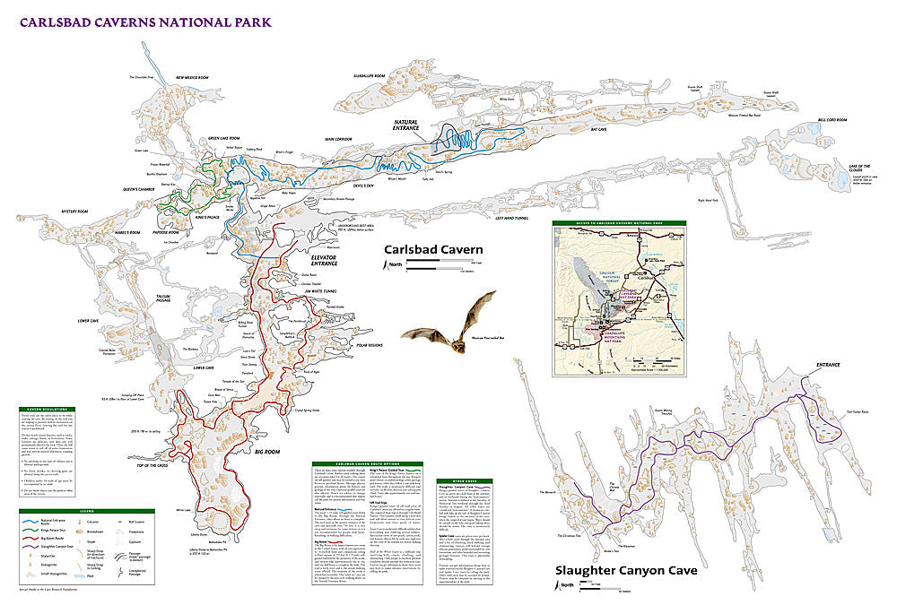 National Geographic Trails Illustrated NM Carlsbad Caverns National Park Map TI00000247