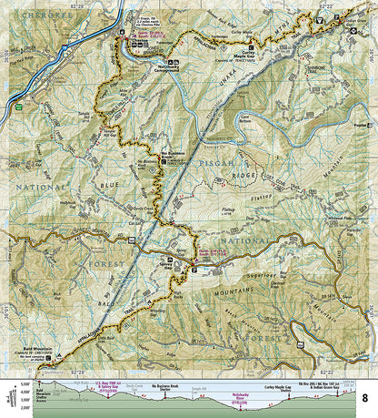 National Geographic Appalachian Trail Map Guide NC TN Davenport - Damascus TI00001502