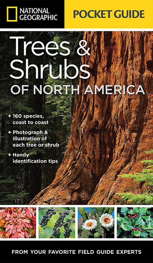 National Geographic Pocket Guide to Trees & Shrubs of North America Book BK26214752
