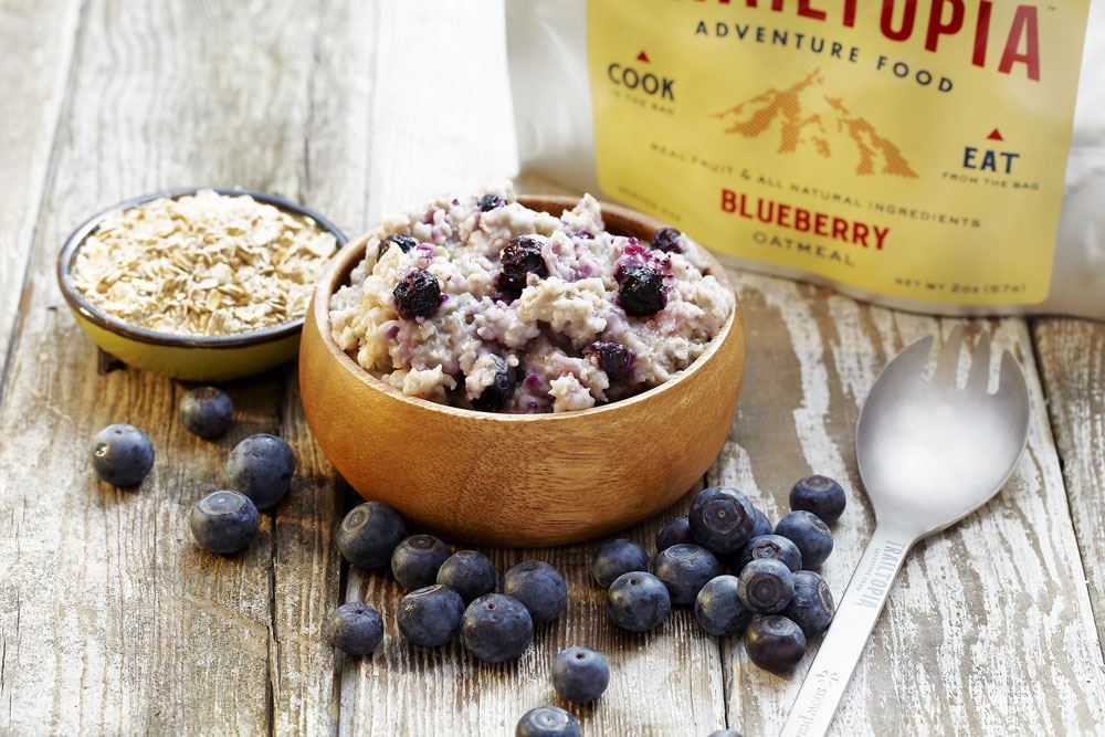 Trailtopia Blueberry Oatmeal 1 Serving